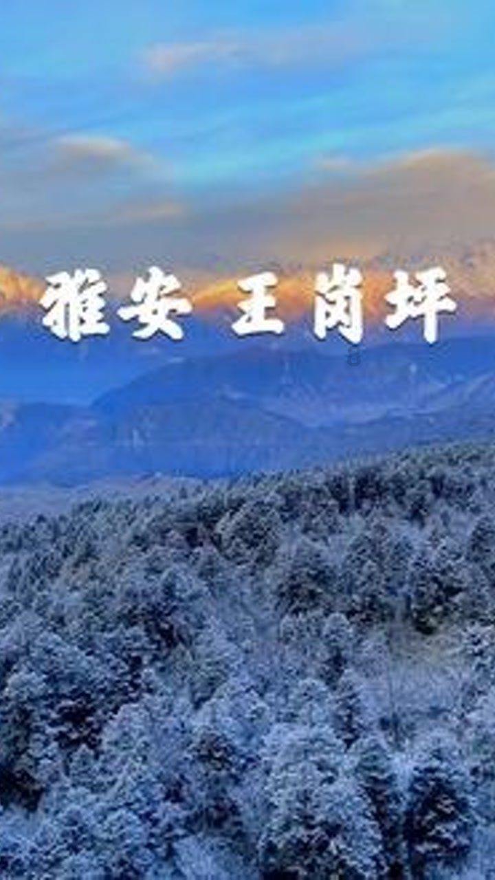 省政协委员和丽贵:打造“云菌”品牌 助推乡村振兴