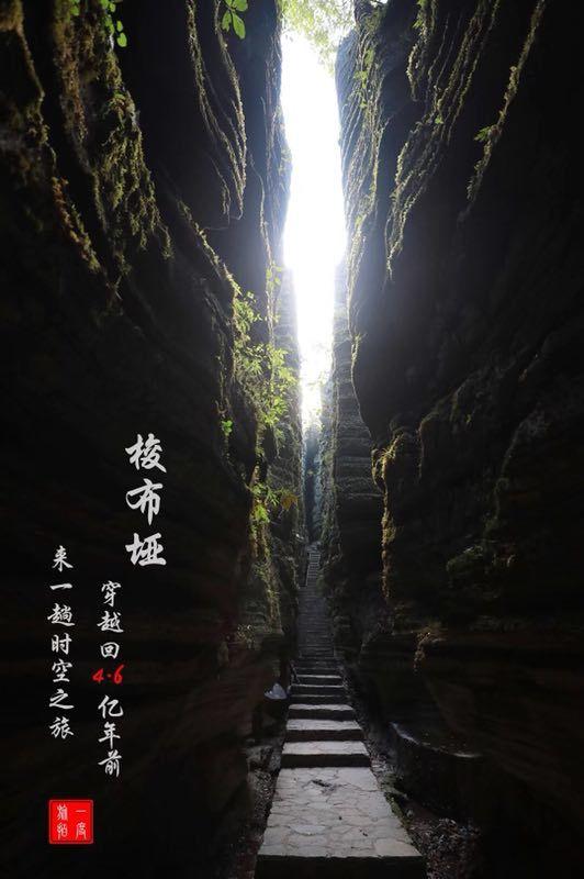 贪吃蛇生存