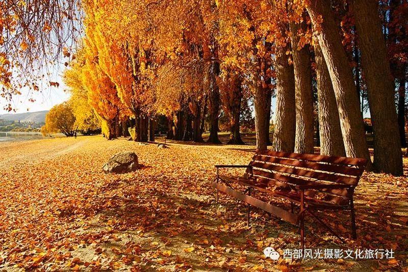 男朋友说买了保险，他死了我就可以得到200万现实吗？游戏画面