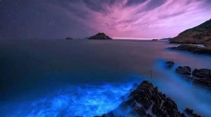 森迪公主夏日度假