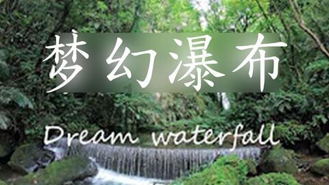 最新公告!进贤恢复县城公交班线