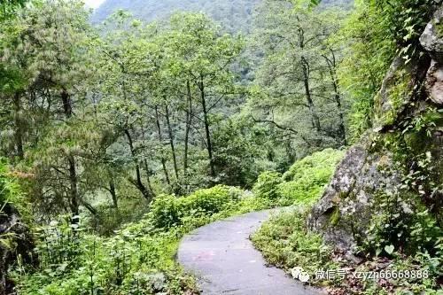 逃离狂热地带