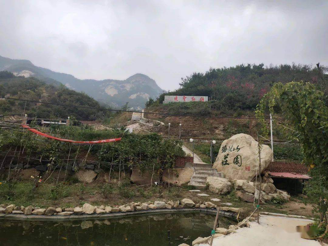 适合饲养的鲨鱼品种有哪些?