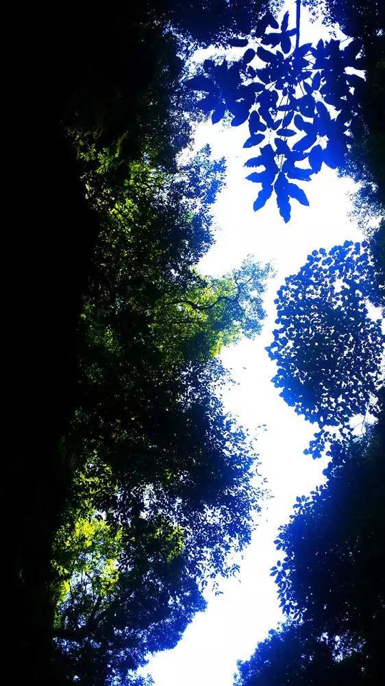 救援受困的奴隶