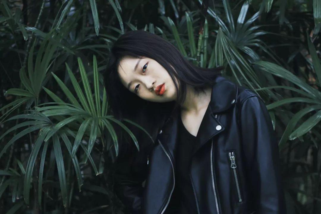 龙池牡丹|牡丹全身都是宝,全方位解析牡丹的价值(二)