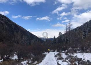 镇魔曲页游