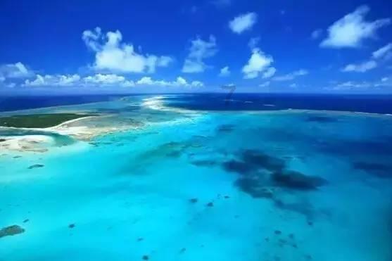 碧海银滩看厦门|红林碧水鱼翔跃 下潭尾因地制宜变身“城市绿肺”
