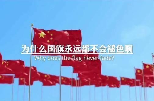 美味的烹饪料理