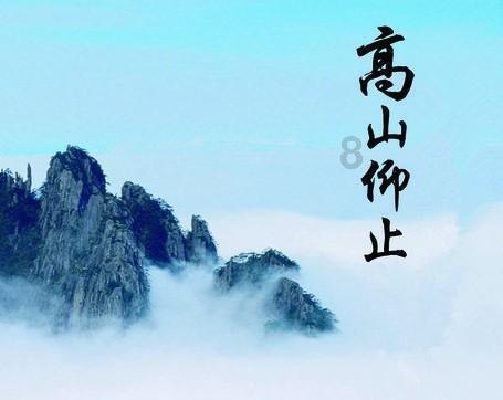 春雨直播app