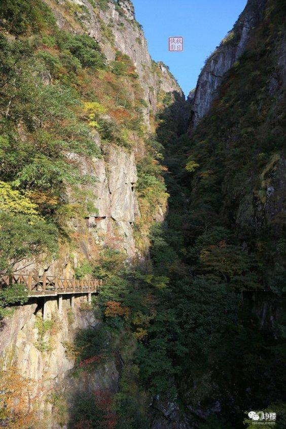 失地农民保险和社保可以合并吗游戏画面