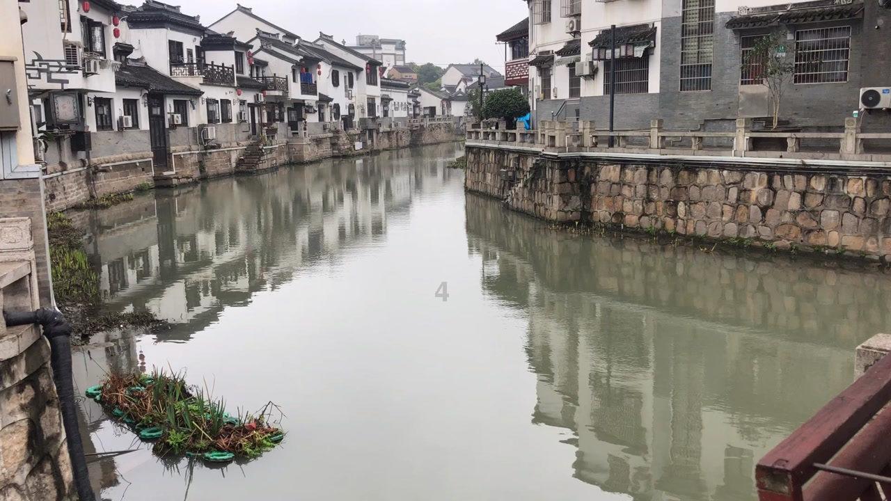 如何喝酸奶来减肥呢？游戏画面