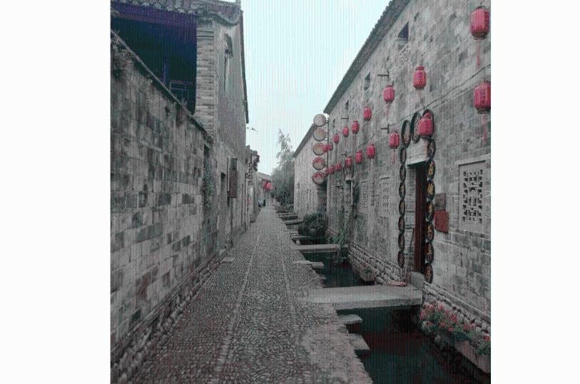 蜂王救援